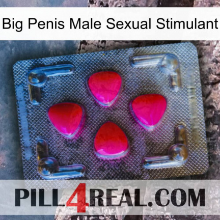 Big Penis Male Sexual Stimulant 13
